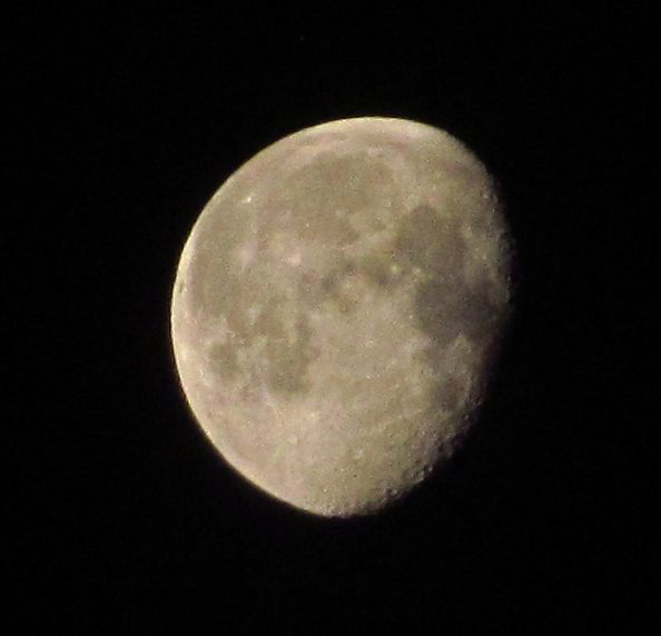 Gibbous